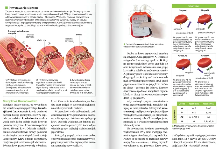 Jak nauczyć się na sprawdzian z historii: 7 skutecznych metod